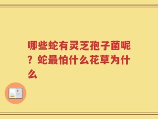 哪些蛇有灵芝孢子菌呢？蛇最怕什么花草为什么