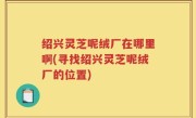 绍兴灵芝呢绒厂在哪里啊(寻找绍兴灵芝呢绒厂的位置)
