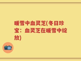 暖雪中血灵芝(冬日珍宝：血灵芝在暖雪中绽放)