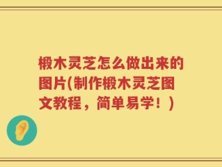 椴木灵芝怎么做出来的图片(制作椴木灵芝图文教程，简单易学！)
