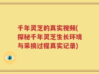 千年灵芝的真实视频(探秘千年灵芝生长环境与采摘过程真实记录)