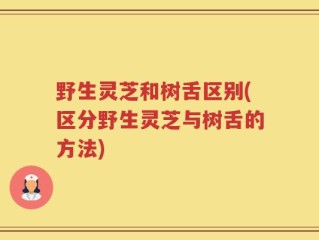 野生灵芝和树舌区别(区分野生灵芝与树舌的方法)