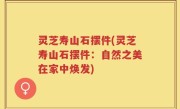 灵芝寿山石摆件(灵芝寿山石摆件：自然之美在家中焕发)