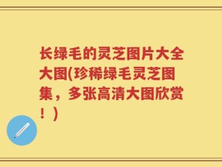 长绿毛的灵芝图片大全大图(珍稀绿毛灵芝图集，多张高清大图欣赏！)