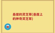 悬崖的灵芝草(悬崖上的神奇灵芝草)