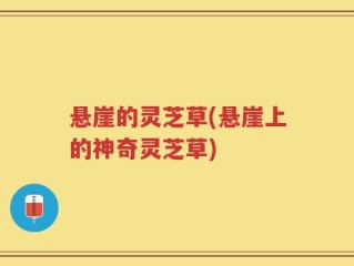 悬崖的灵芝草(悬崖上的神奇灵芝草)