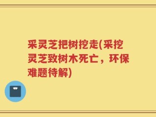 采灵芝把树挖走(采挖灵芝致树木死亡，环保难题待解)