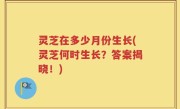 灵芝在多少月份生长(灵芝何时生长？答案揭晓！)