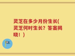 灵芝在多少月份生长(灵芝何时生长？答案揭晓！)