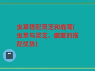 虫草搭配灵芝和鹿茸(虫草与灵芝、鹿茸的搭配优势)
