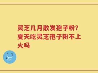 灵芝几月散发孢子粉？夏天吃灵芝孢子粉不上火吗