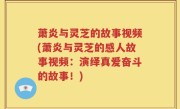 萧炎与灵芝的故事视频(萧炎与灵芝的感人故事视频：演绎真爱奋斗的故事！)