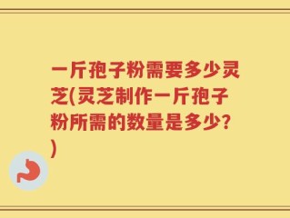 一斤孢子粉需要多少灵芝(灵芝制作一斤孢子粉所需的数量是多少？)