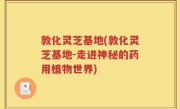 敦化灵芝基地(敦化灵芝基地-走进神秘的药用植物世界)