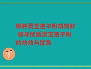 哪种灵芝孢子粉功效好 探寻优质灵芝孢子粉的功效与优势