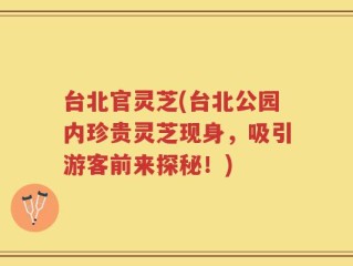 台北官灵芝(台北公园内珍贵灵芝现身，吸引游客前来探秘！)