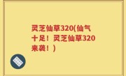 灵芝仙草320(仙气十足！灵芝仙草320来袭！)