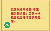 灵芝枸杞子桂圆(搭配保健新选择！灵芝枸杞桂圆组合让你健康又美丽)