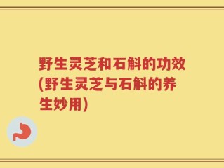 野生灵芝和石斛的功效(野生灵芝与石斛的养生妙用)