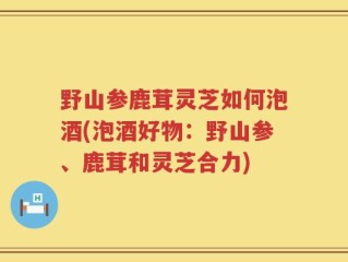 野山参鹿茸灵芝如何泡酒(泡酒好物：野山参、鹿茸和灵芝合力)