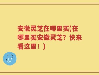 安徽灵芝在哪里买(在哪里买安徽灵芝？快来看这里！)