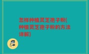 怎样种植灵芝孢子粉(种植灵芝孢子粉的方法详解)