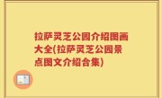 拉萨灵芝公园介绍图画大全(拉萨灵芝公园景点图文介绍合集)