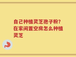 自己种植灵芝孢子粉？在家闲置空房怎么种植灵芝