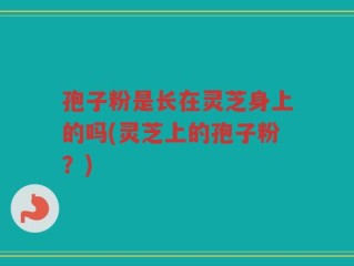 孢子粉是长在灵芝身上的吗(灵芝上的孢子粉？)