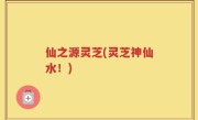 仙之源灵芝(灵芝神仙水！)