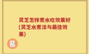 灵芝怎样煮水吃效果好(灵芝水煮法与最佳效果)