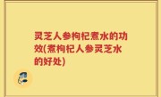 灵芝人参枸杞煮水的功效(煮枸杞人参灵芝水的好处)