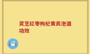 灵芝红枣枸杞黄芪泡酒功效
