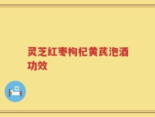 灵芝红枣枸杞黄芪泡酒功效
