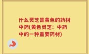 什么灵芝是黄色的药材中药(黄色灵芝：中药中的一种重要药材)