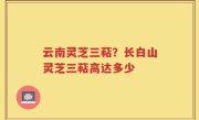 云南灵芝三萜？长白山灵芝三萜高达多少