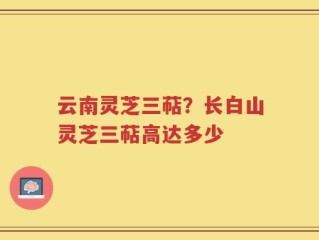 云南灵芝三萜？长白山灵芝三萜高达多少