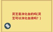 灵芝是净化血的吗(灵芝可以净化血液吗？)