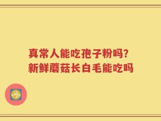 真常人能吃孢子粉吗？新鲜蘑菇长白毛能吃吗