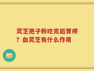 灵芝孢子粉吃完后胃疼？血灵芝有什么作用