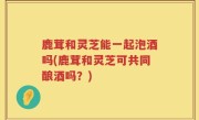 鹿茸和灵芝能一起泡酒吗(鹿茸和灵芝可共同酿酒吗？)