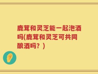 鹿茸和灵芝能一起泡酒吗(鹿茸和灵芝可共同酿酒吗？)