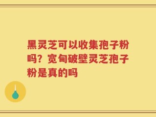 黑灵芝可以收集孢子粉吗？宽甸破壁灵芝孢子粉是真的吗