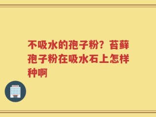 不吸水的孢子粉？苔藓孢子粉在吸水石上怎样种啊