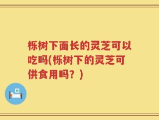 栎树下面长的灵芝可以吃吗(栎树下的灵芝可供食用吗？)