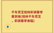 千年灵芝桂林彩调春季里到来(桂林千年灵芝，彩调春季来临)