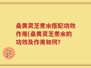 桑黄灵芝煮水搭配功效作用(桑黄灵芝煮水的功效及作用如何？