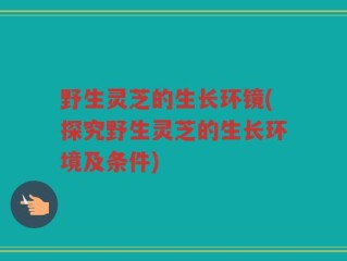 野生灵芝的生长环镜(探究野生灵芝的生长环境及条件)