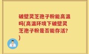 破壁灵芝孢子粉能高温吗(高温环境下破壁灵芝孢子粉是否能存活？)