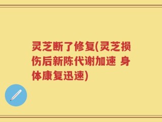 灵芝断了修复(灵芝损伤后新陈代谢加速 身体康复迅速)